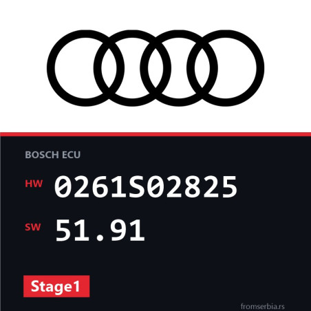 Audi RS3 0261S02825 51.91 Stage1 tuning file