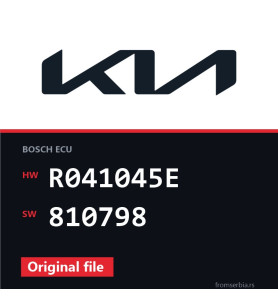 Kia Carnival R041045E 810798 original ECU file