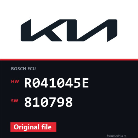 Kia Carnival R041045E 810798 original ECU file