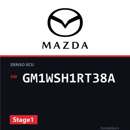 Mazda 6 2.2 GM1WSH1RT38A Stage1 tuning file