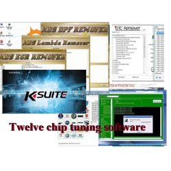 Twelve chip tuning software