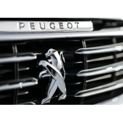 Chiptuning files for PEUGEOT with hardware and software number