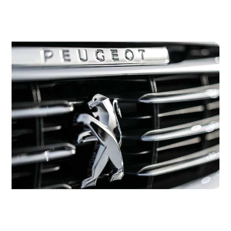 Chiptuning files for PEUGEOT with hardware and software number