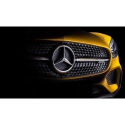 Chiptuning files for MERCEDES BENZ